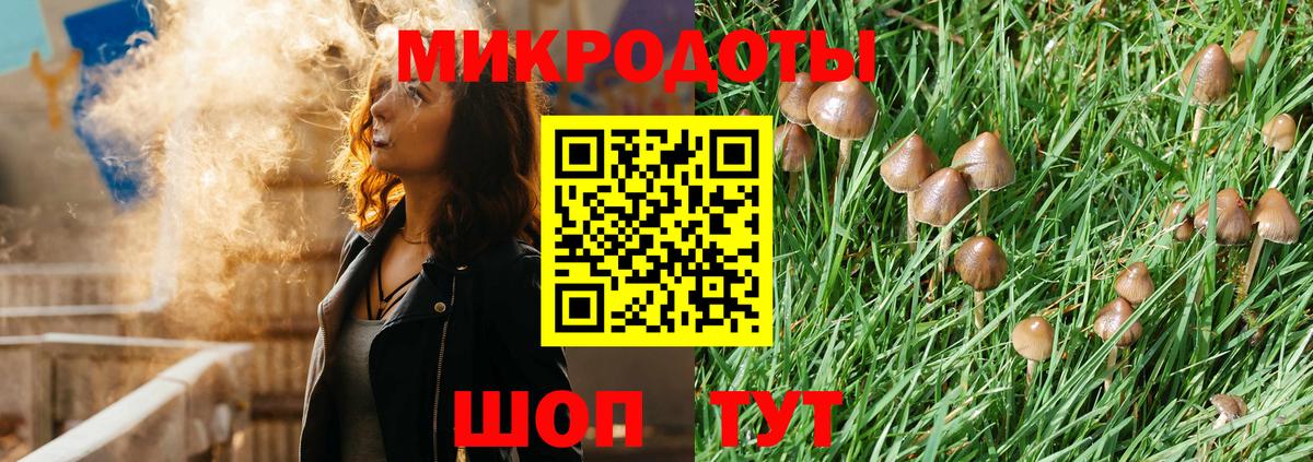 Псилоцибиновые грибы GOLDEN TEACHER  Вход с VPN  Звенигород 