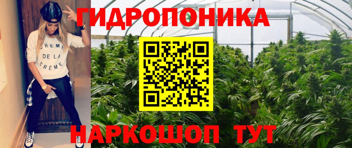 Каннабис конопля Звенигород